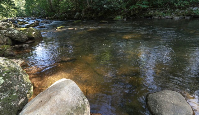 Beautiful Cullasaja River Cabin! Waterfalls, Fish, Swim, Tube, Relax and Unwind!