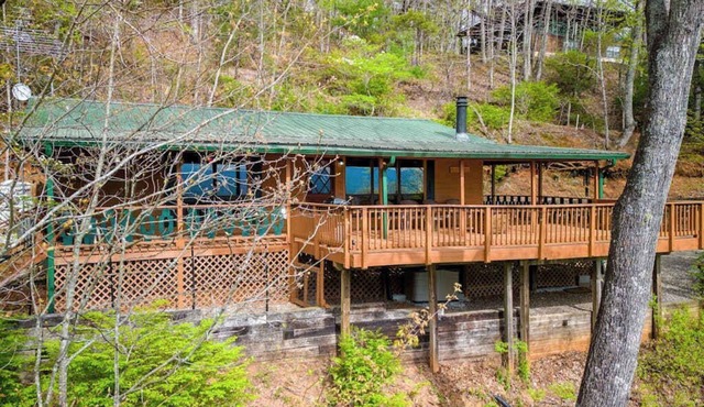 Black Bear cabin fox Mountain