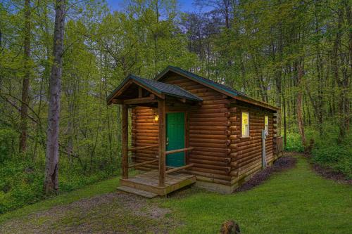 Blue Rose Cabins - Cozy Cabin in Logan