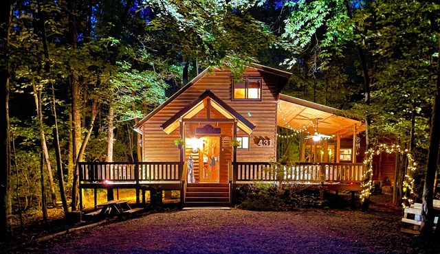 Bordering The National Forest. The Bear Affair Cabin.