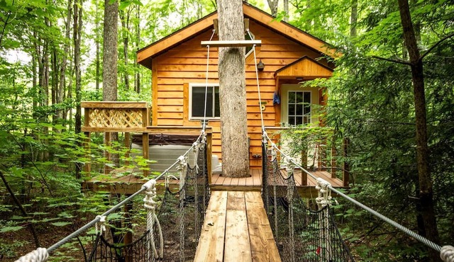 Breathtaking Tree House Rental near Charleston, West Virginia