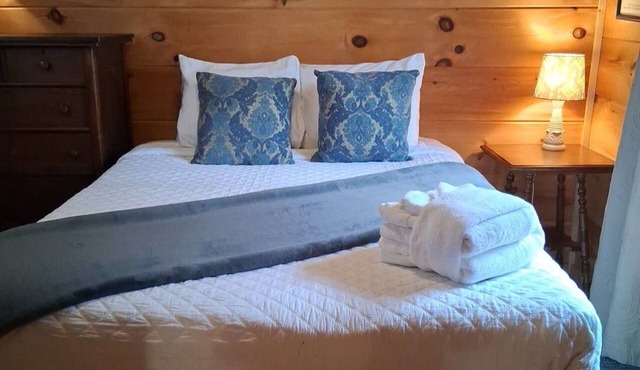 CABIN #2 Cozy 1-bedroom cabin in beautiful Tryon NC 3 miles to TIEC!