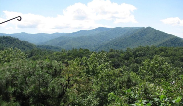 Carolina Hideaway Spacious Mountain Retreat