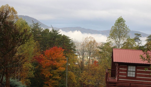 Charming Cabin in the Smokies-HOT TUB/JACUZZI/WIFI - Cedar Cove