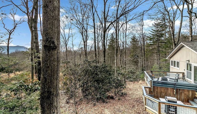 Charming Mountain Treehouse with Forest Views near Downtown Black Mountain, NC