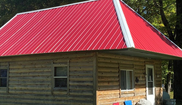 Come relax at the cabin on Indian lake. The outdoors awaits you and your pets. in Manistique