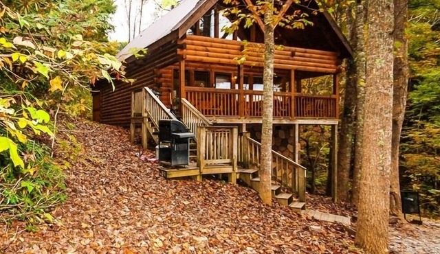 Convenient Location, Between G. Burg 7 P. Forge and mins to everything Pets OK in Gatlinburg