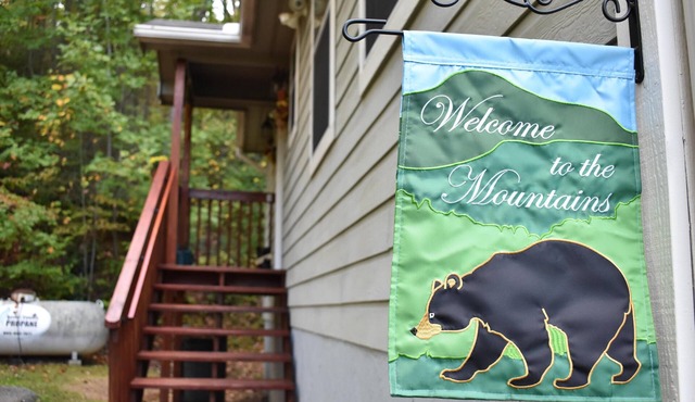 Couple’s Mtn Getaway;Borders GSMNP;Seasonal Mtn views; Allergen-Free