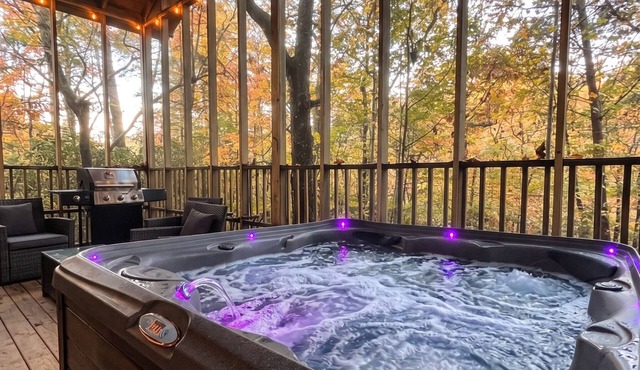 Couples Retreat | Screened Deck, Hot Tub & Outdoor TV · Sautee Nacoochee, GA