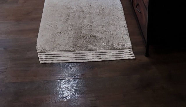 Cozy Cabin By The Pipestem Creek. Pet-Friendly!