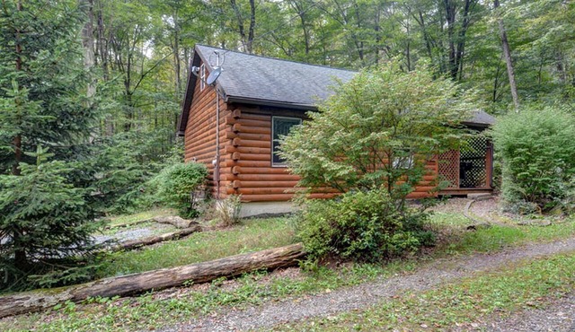 Cozy Cabin with Fire Pit and Hot Tub in Bruceton Mills, West Virginia