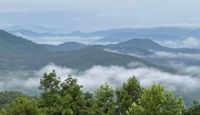 Deer in the Clouds- Minutes from John C. Campbell Folk School!