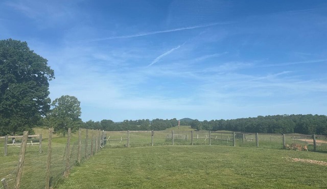 Family and pet friendly 60 acre farm near Buffalo National River. in Saint Joe