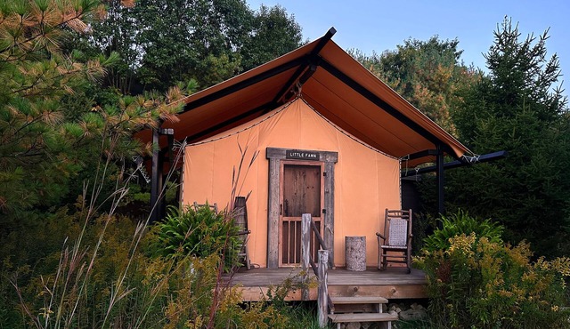 Glamping Tent - Luxurious amenities in the heart of nature! in Dover