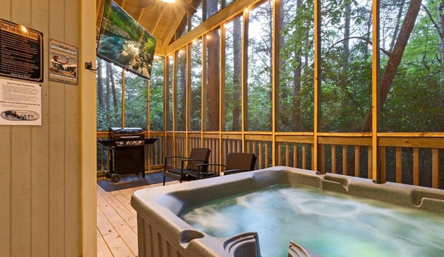 Honey Bee Cabin with Hot Tub and Outdoor TV Near Helen
