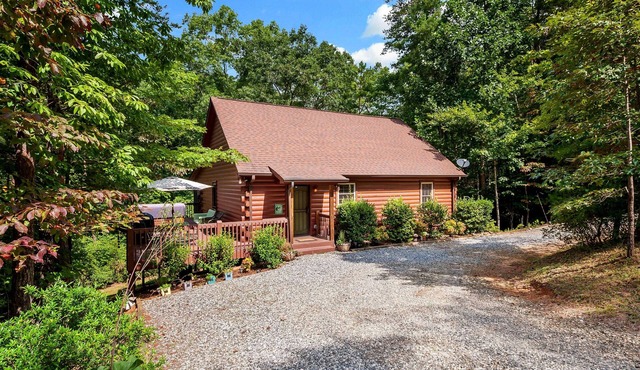 Hot Tub, Mirror Lake Access, Log Cabin - Hawks Terrace by Carolina Properties
