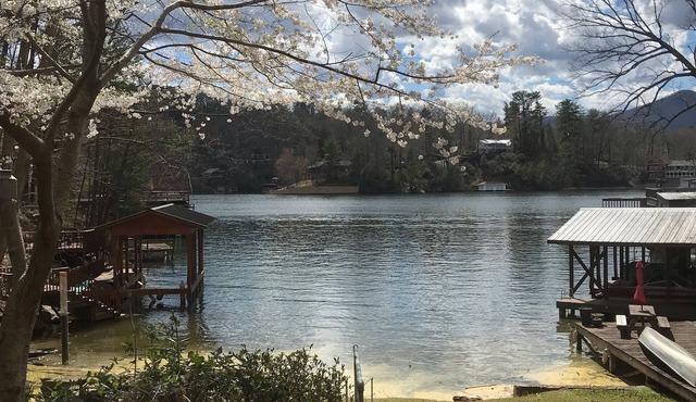 LAKEFRONT cabin with easy access private beach in quiet cove!