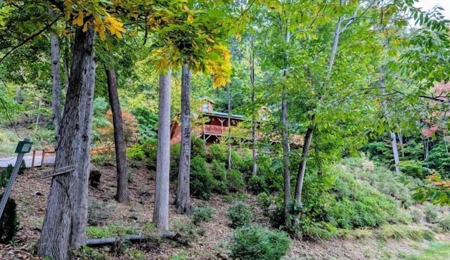 Linda's Haven - 3BR, 3 BA, Views, HT, FP, Game Room