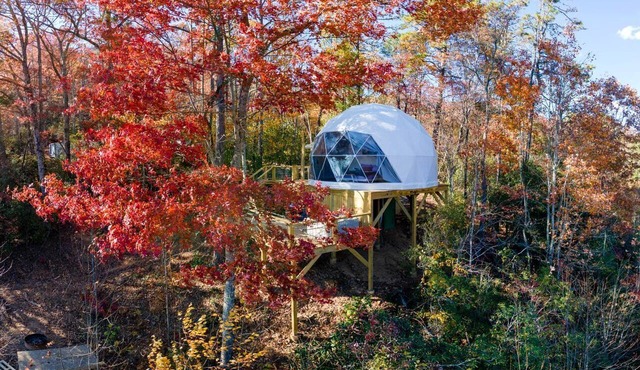 Luxury Geodome with Sauna, Hot Tub & Mountain Views near Pisgah National Forest, North Carolina