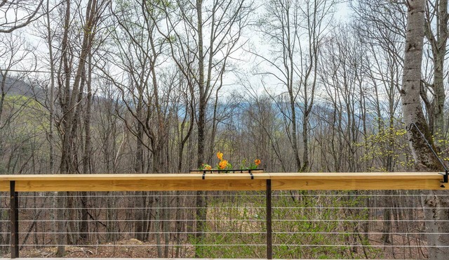 Mountain Dove Log Cabin Healing Retreat+Mtn Views+Walking trail