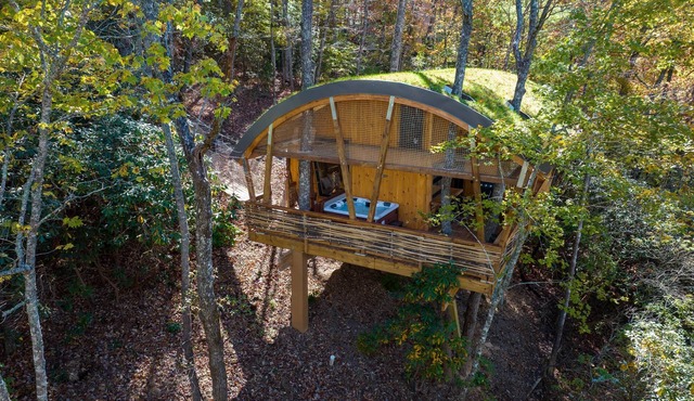 Nest-Shaped Cocoon Treehouse on 4 Trees - The Marsu