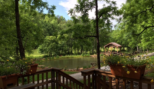 Pappy's Place: A Cozy Creekside Retreat