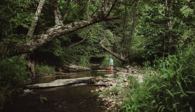 Peaceful Mountain Retreat: Private Creek, Fireflies & Family Fun