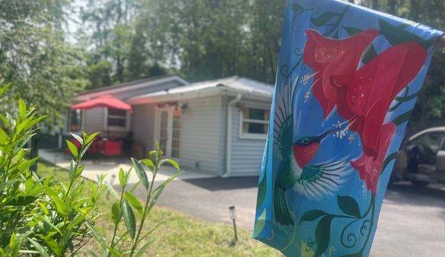 Pet-Friendly! Blue Ridge View Cottage
