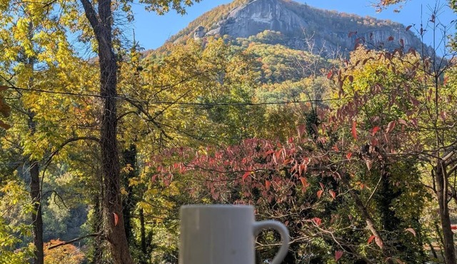 Pets Welcome, Big Views, Easy Walk into Chimney Rock Village, Internet