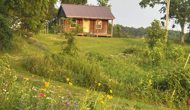 Picturesque couples retreat near Red River Gorge, perfect for hiking, kayaking!