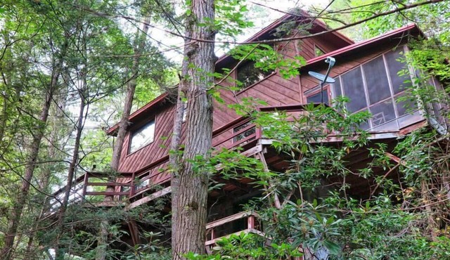 Pigeon River Hideaway on the Little Pigeon River, Smoky Mountains