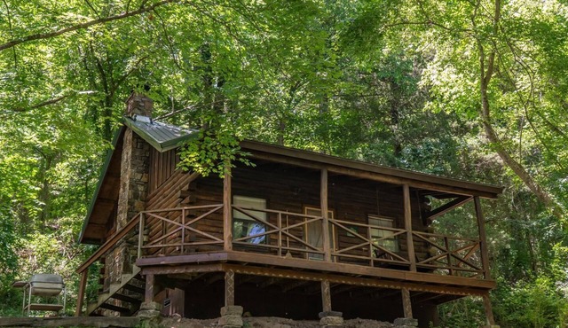 Ponca Cabin 4 - Cozy Cabin in the Heart of Ponca in Ponca
