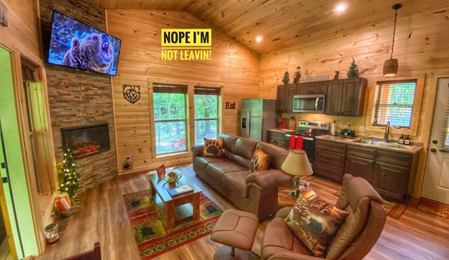 Quiet~ROMANTIC, FAST WIFI~K/BED HOTTUB, F/P, NEAR PIGEON FORGE/DOLLYWOOD in Sevierville