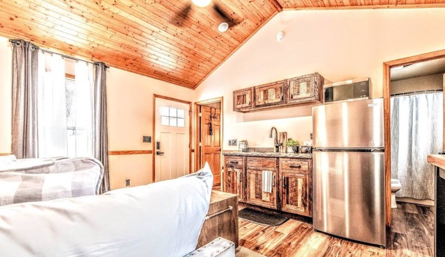 Rustic Modern Cabin on the WI River: Fur Babies Stay for Free! in Wisconsin Dells