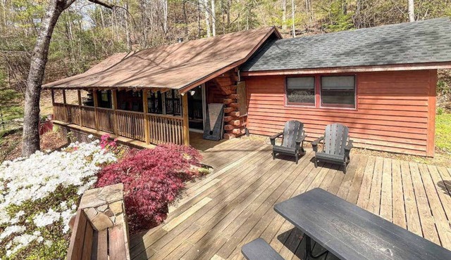 Scenic cabins with fireplaces, children's items, W/D - dog-friendly