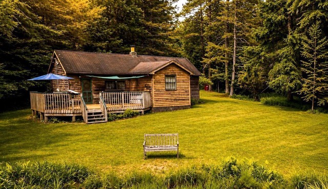 Secluded Mountain Cabin with Creek Near Swallow Falls State Park, West Virginia