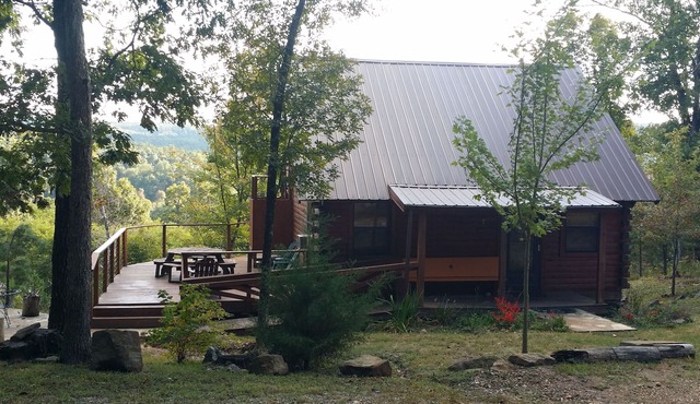 Secluded Newton Co. Arkansas Cabin with View in JASPER