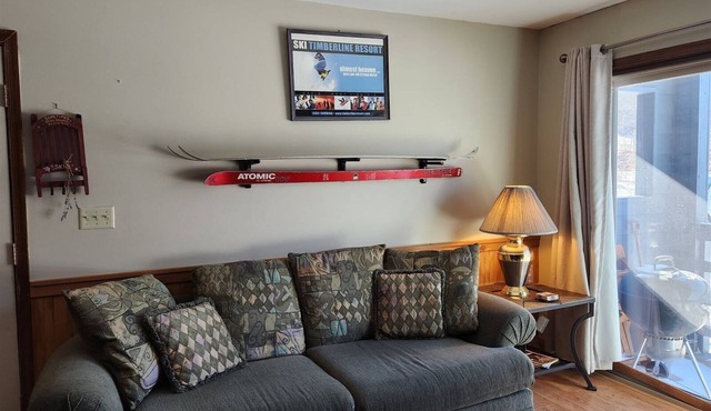 Slopeside Condo D102