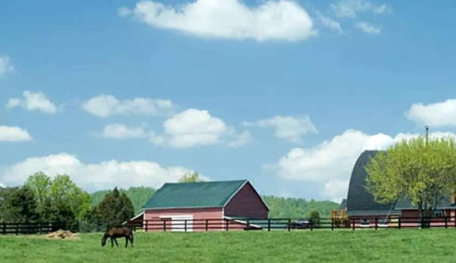 Spacious Modular Rental on Huge Horse and Cattle Farm near Charlottesville, Virginia in Gordonsville