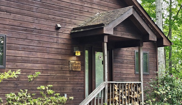 Stay for the PGA TOUR - Asheville Cabin w/Hot Tub