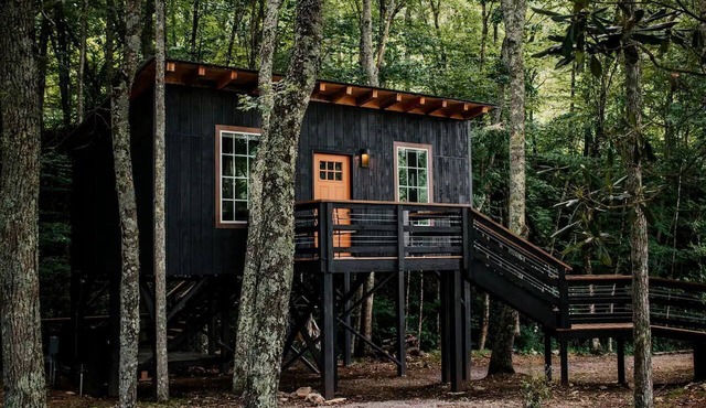 Stunning Tree House Perfect for Couples in Erwin, Tennesse