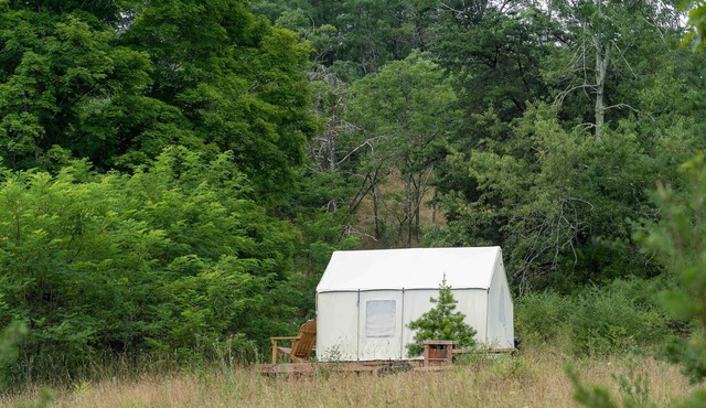 Tentrr State Park Site - WV Lost River State Park - Site F - Single Camp