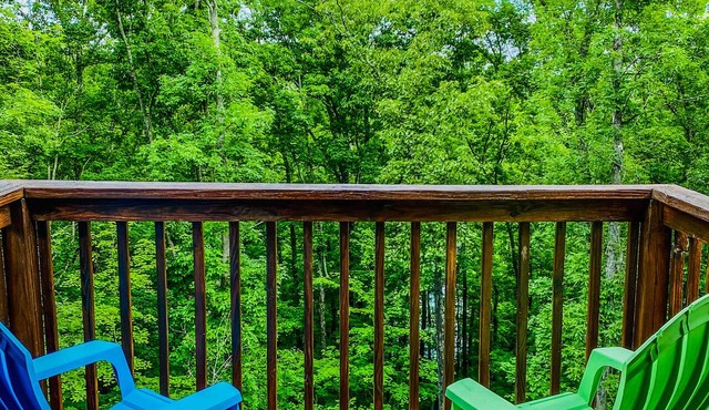 The Adaha Cabin rustic&cozy at Douglas Lake