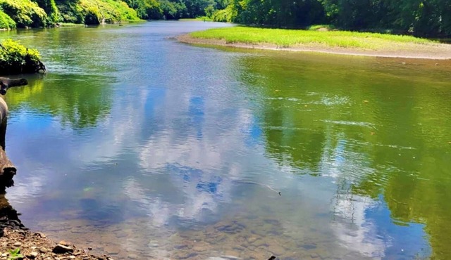 The Riverbend Retreat, Matewan WV! Riverfront Views -Adventure Awaits!