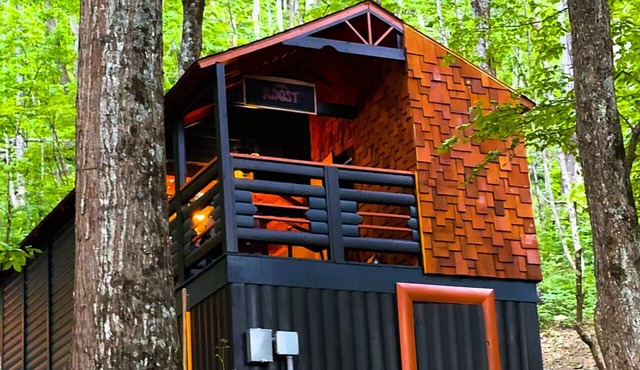 The Roost, w/King bed and Mtn Views