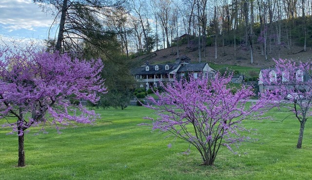 Tranquil Cottage on the 8-Acre Grounds of the Historic Eastman House