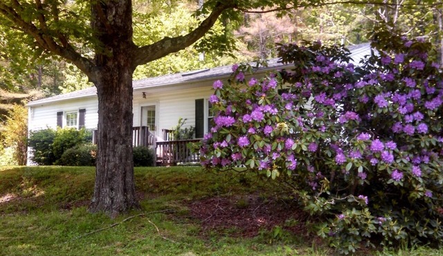 Tuttle Farm, Riverfront 3 BR Home with Mountain and Forest Views in Webster Springs