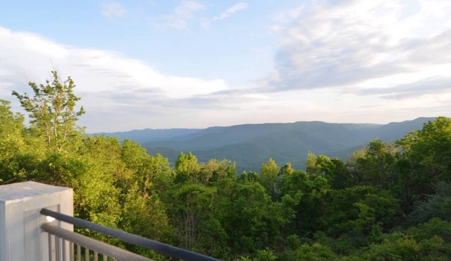 Views, Vibes & Starry Skies! Dog Friendly Mountaintop on the Parkway in Floyd