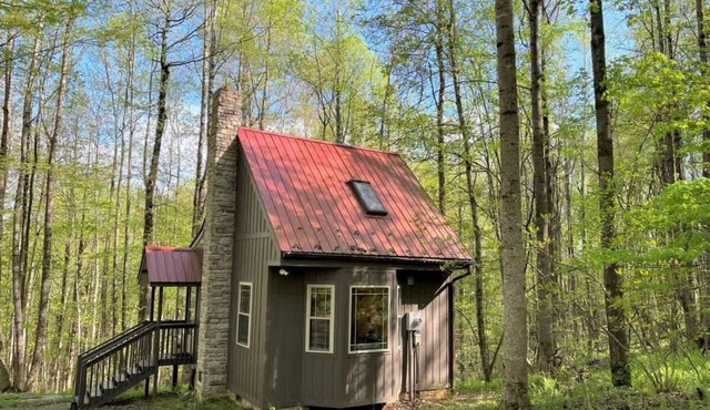 Wildcat Forest by Buffalo Mountain Getaway