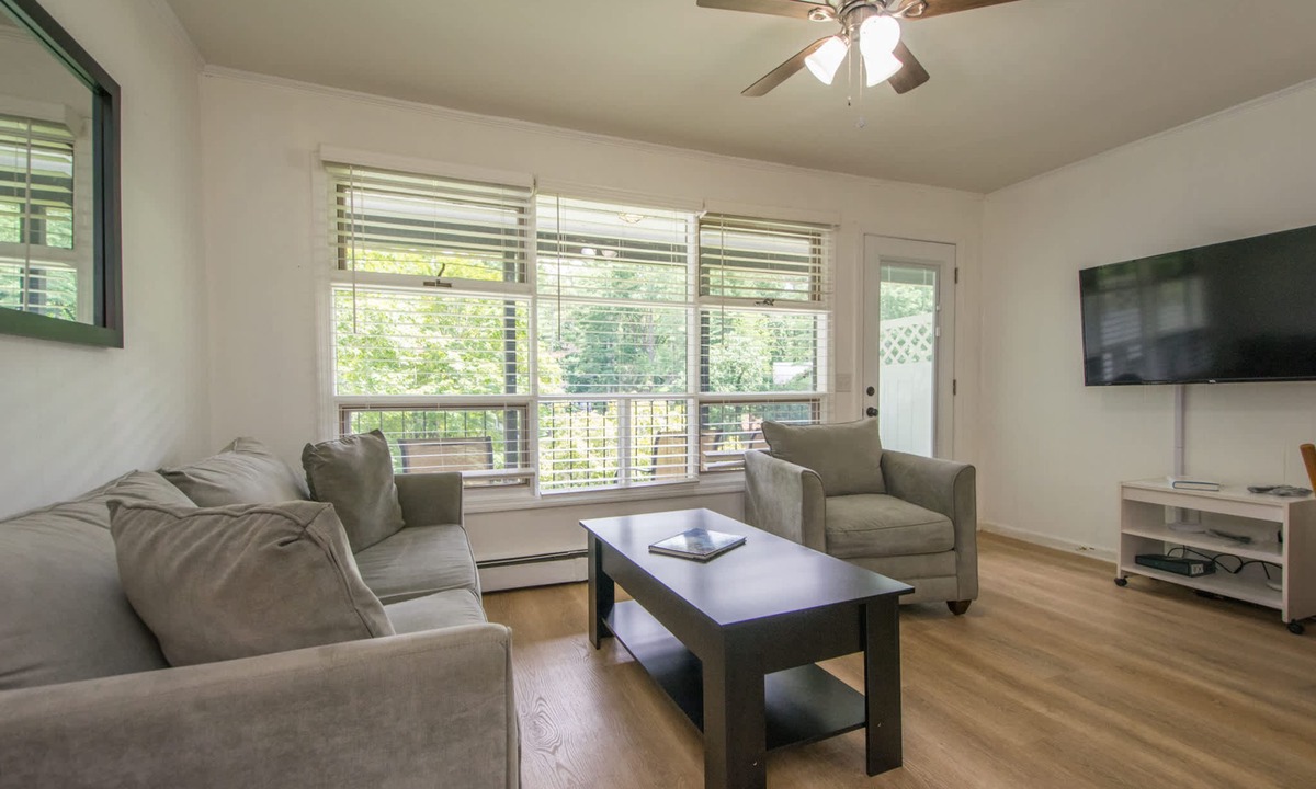 Flat Rock Apartment | Lakeview 1BR Condo w Deck Walk to Village